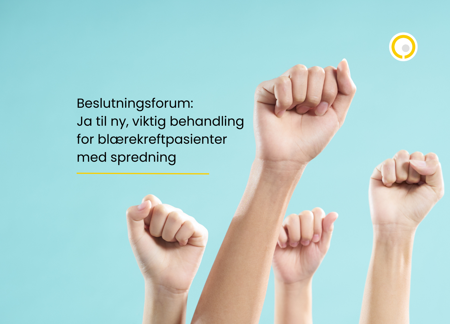 bilde av hender strekt opp i været