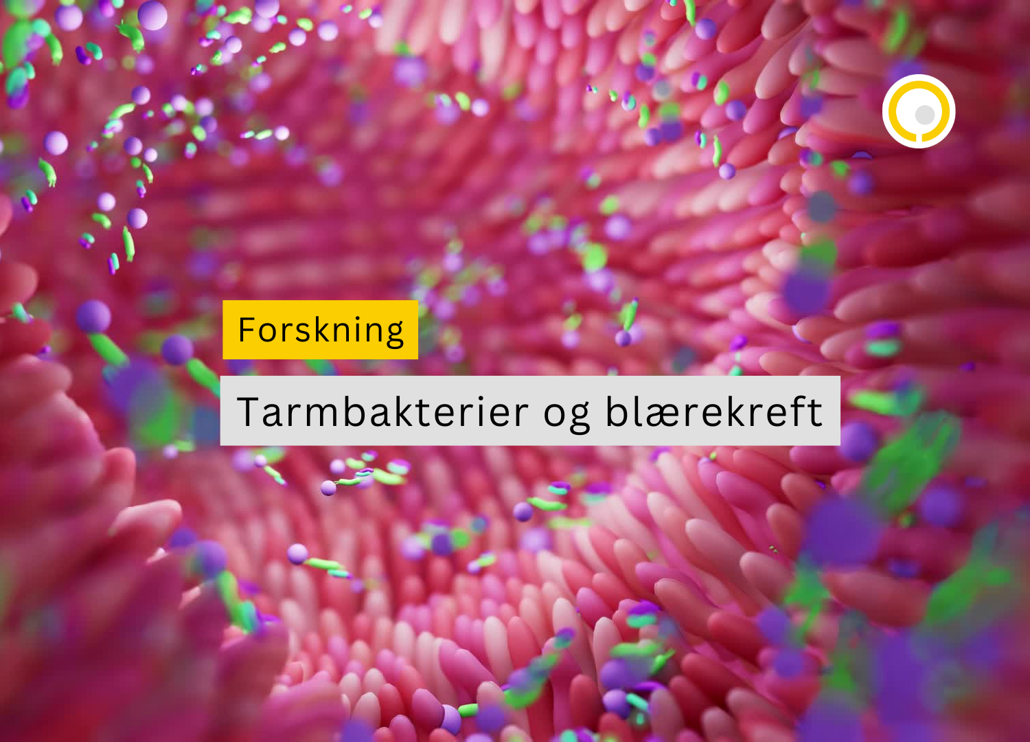 illustrasjon på tarm og tarmbakterier